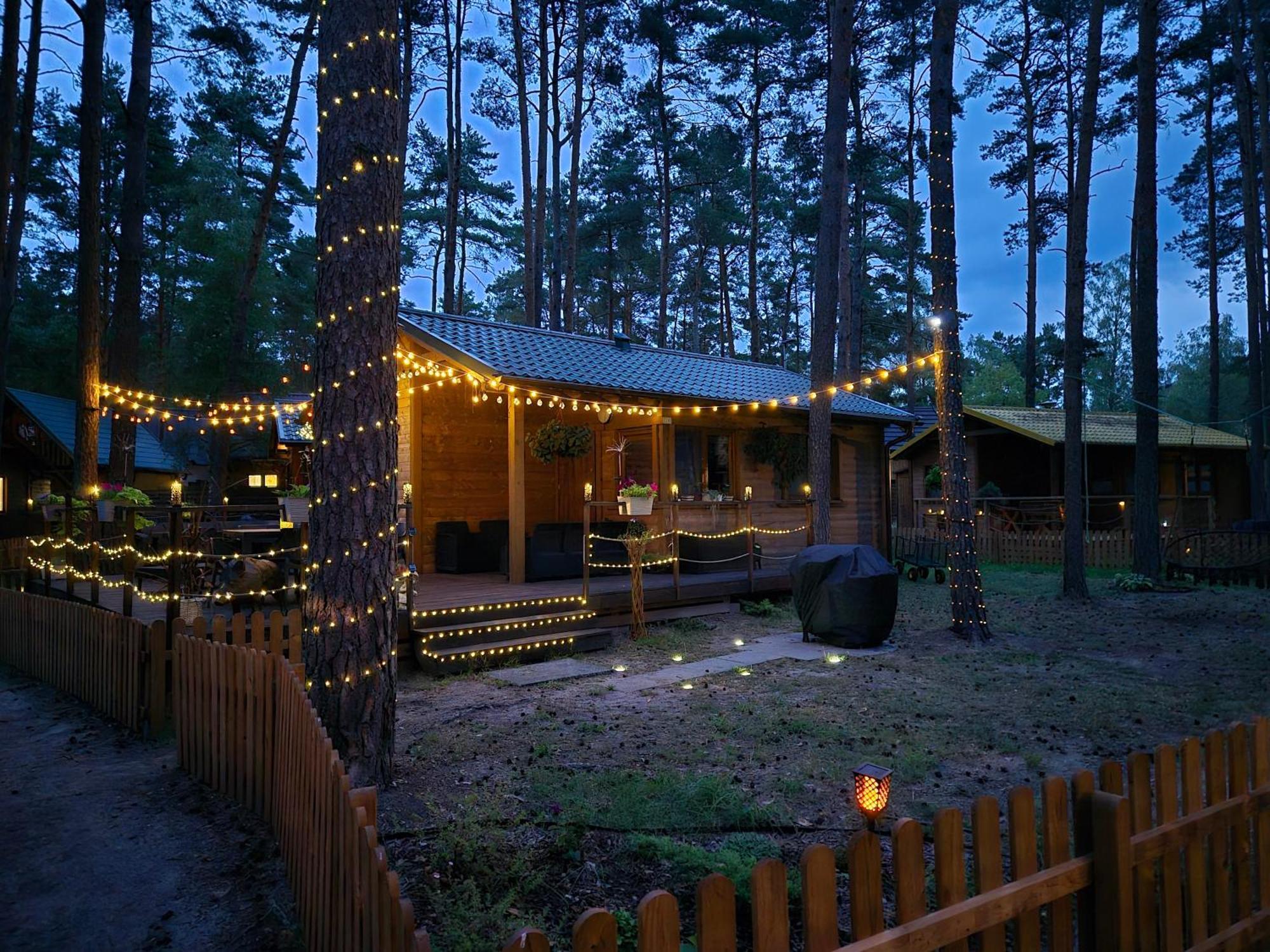 Dzik W Zagrodzie Hotel Borsk Exterior photo